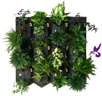 designaholic_cara-de-planta-03